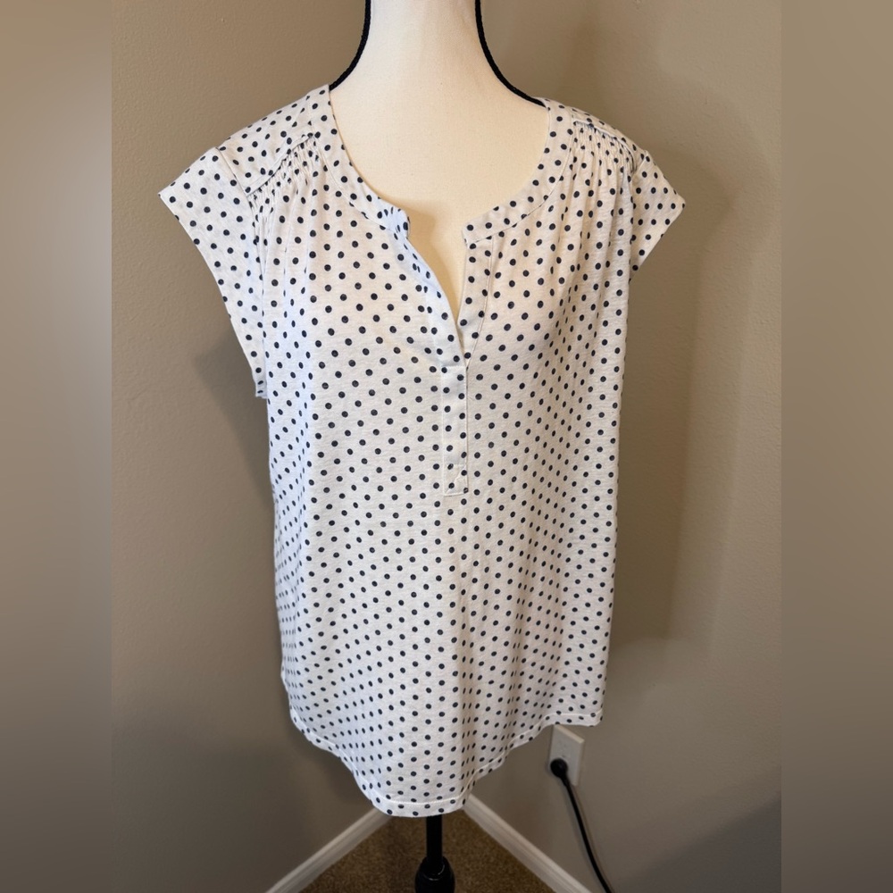 Daniel Rainn Polka Dot Women's Top XL